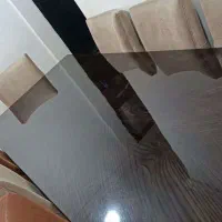 مبل 8 نفره جنس درجه 1|میز و صندلی غذاخوری|اهواز, سلطانمنش|دیوار