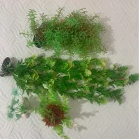 وسایل آکواریوم