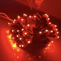 ریسه سوزنی۱۲ ولت واترپروف سیم کوتاه|ریسه و چراغ تزئینی|تهران, بازار|دیوار