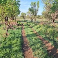 .باغ ۲۰۰۰هزارمتری با ۱.۵ساعت آب از موتور|فروش زمین و ملک کلنگی|قزوین, |دیوار