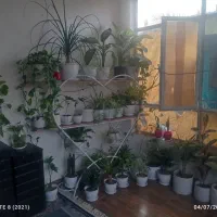 سویت روزانه|اجارهٔ کوتاهمدت آپارتمان و سوئیت|بم, |دیوار