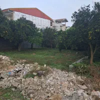 فروش زمین|فروش زمین و ملک کلنگی|کومله, |دیوار