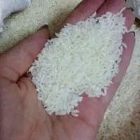 برنج ایرانی