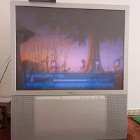 تلویزیون|تلویزیون و پروژکتور|میاندوآب, |دیوار