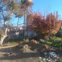 زمین-100متری-واقع-در-گلند-فخرآباد