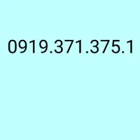 0919.371.375.1