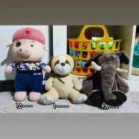 عروسک|اسباب‌بازی بچه|چالوس, |دیوار