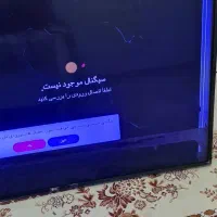 تلویزیون