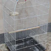 قفس پرنده