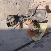 کولر نیسان