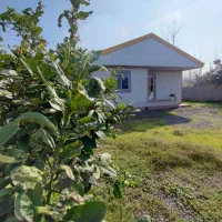 خانه و شالیزار چسب هم /سندتکبرگ منطقه آزاد/۸۳۰۰متر