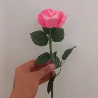 شاخه گل رز صورتی|گل مصنوعی|فیروزآباد (فارس), |دیوار