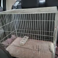 قفس پرنده همراه ظرف غذا و نوک تیز کن