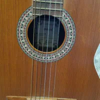 گیتار پارسی p40|گیتار، بیس، امپلیفایر|رشت, علی آباد|دیوار