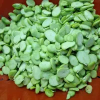 باقاله پاک میشود