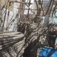 خرید و فروش لوله داربست