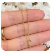 گم شده.مژدگانی هم تقدیم میشود.