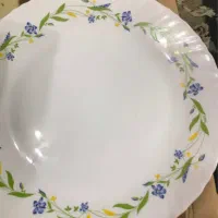 ظروف نو و پلمپ