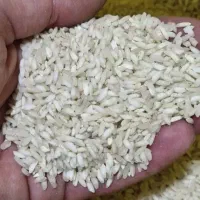 برنج عنبر بو لرستان خوش طعم|خوردنی و آشامیدنی|اصفهان, باغ زرشک|دیوار