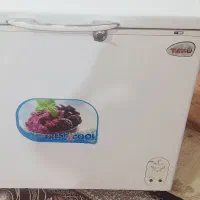 فریزرصندوقی درچمران