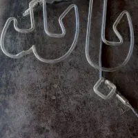 نئون