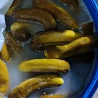 عمده فروشی|خدمات پذیرایی، مراسم|دهدشت, |دیوار