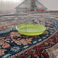 قفس مناسب انواع پرنده