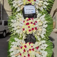 گل گیاه|گل و گیاه طبیعی|تهران, حر|دیوار