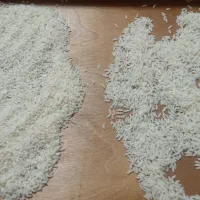 فروش برنج طارم و لاشه طارم|خوردنی و آشامیدنی|جویبار, |دیوار