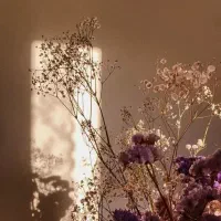 پرینت ارزان