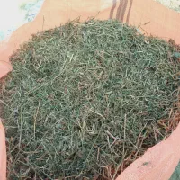 یونجه