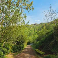 ۳قطعه زمین ۶۰۰متری کنار هم بر جاده،قطعه ای ۱۲۰۰|فروش زمین و ملک کلنگی|واجارگاه, |دیوار