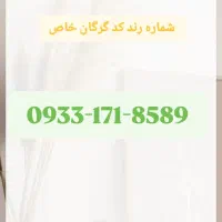 0933-171-8589