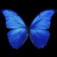 هدیه بلو بانک