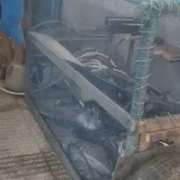 ققس چوبی|لوازم جانبی حیوانات|خان ببین, |دیوار