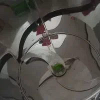 سبزی خردکن سبز ایران|خردکن، آسیاب، غذاساز|محمدشهر, محمدشهر|دیوار