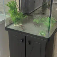 آکواریوم دلسا k500|ماهی|فسا, |دیوار