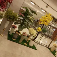 گل ها و درخت چه های وارداتی و تنوع بالا