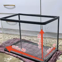اکواریوم شیشه خم شرکتی