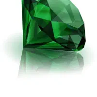 شرکت خدمات نظافت زمرد عرشیا