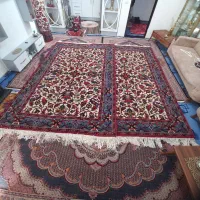 دوجفت ۶متری ست هریس ۶۱۰ایلمح|فرش|بناب, |دیوار