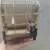 قفس برنجی