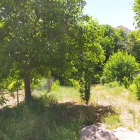 ویلا و باغ در چهار خروار|فروش خانه و ویلا|بجنورد, |دیوار