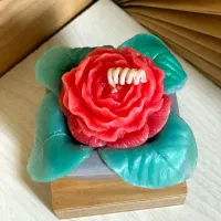 باکس گل شمع|صنایع دستی و سایر لوازم تزئینی|تهران, افسریه شمالی|دیوار