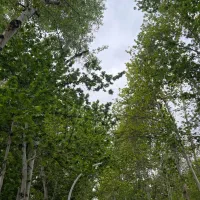 مغازه طلافروشی