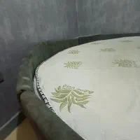 تخت گرد|تخت و سرویس خواب|رشت, علی آباد|دیوار