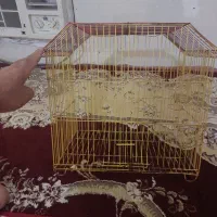 قفس پرنده