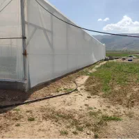 فروش گلخانه اسپانیایی|فروش دفتر صنعتی، کشاورزی، تجاری|شیراز, بید زرد|دیوار