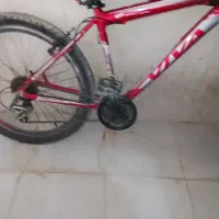 دوچرخه ویوا اصلی|دوچرخه، اسکیت، اسکوتر|مریوان, |دیوار