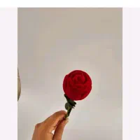 جعبه انگشتر مخمل|جواهرات|اصفهان, آفاران|دیوار